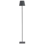 Charcoal Cordless LED Floor Lamp