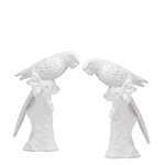 Pair of White Parrots