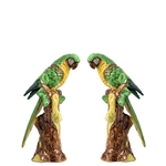Pair of Green Parrots