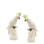 Pair of Cockatoos