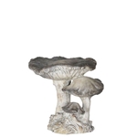 Stone Mushroom