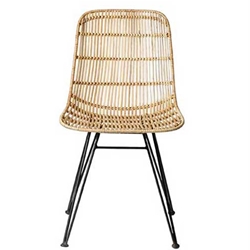Eames style Rattan Chair