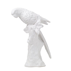 Pair of White Parrots