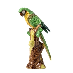 Pair of Green Parrots